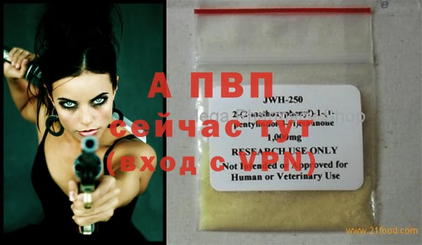 крисы Баксан