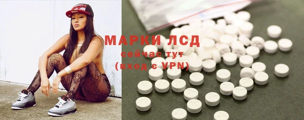 крисы Баксан