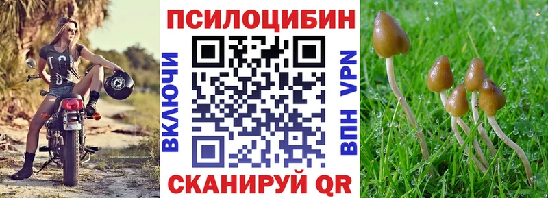 darknet Telegram Спас-Деменск Галлюциногенные грибы прущие грибы что такое